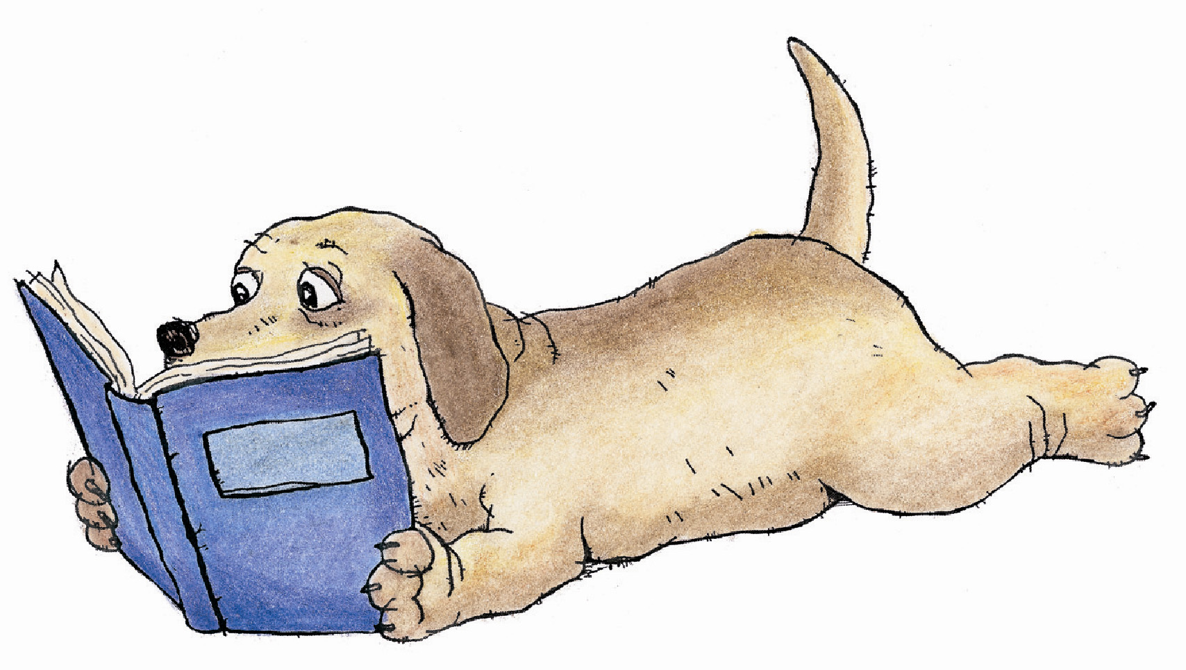 free clip art animals reading books - photo #32